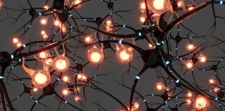 A bunch of lights that are on a tree