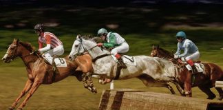 man in white shirt riding brown horse during daytime