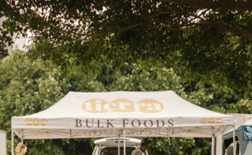 Why Durable Large-Scale Canopies Are Essential for Serious Outdoor Events