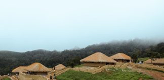 a group of people walking around a grass field with huts