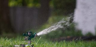 green and black lego toy on green grass during daytime