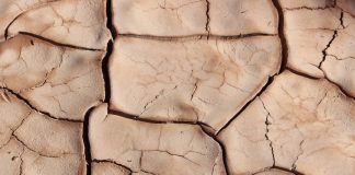 dried soil