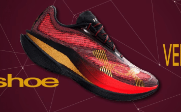 The Hidden Architecture of a Gym Shoe